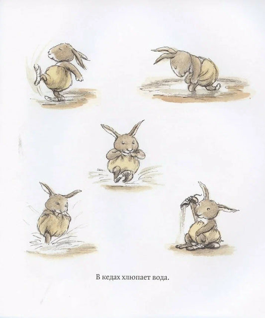 Сестрица Крольчиха совсем заблудилась