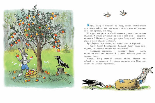 Мешок яблок