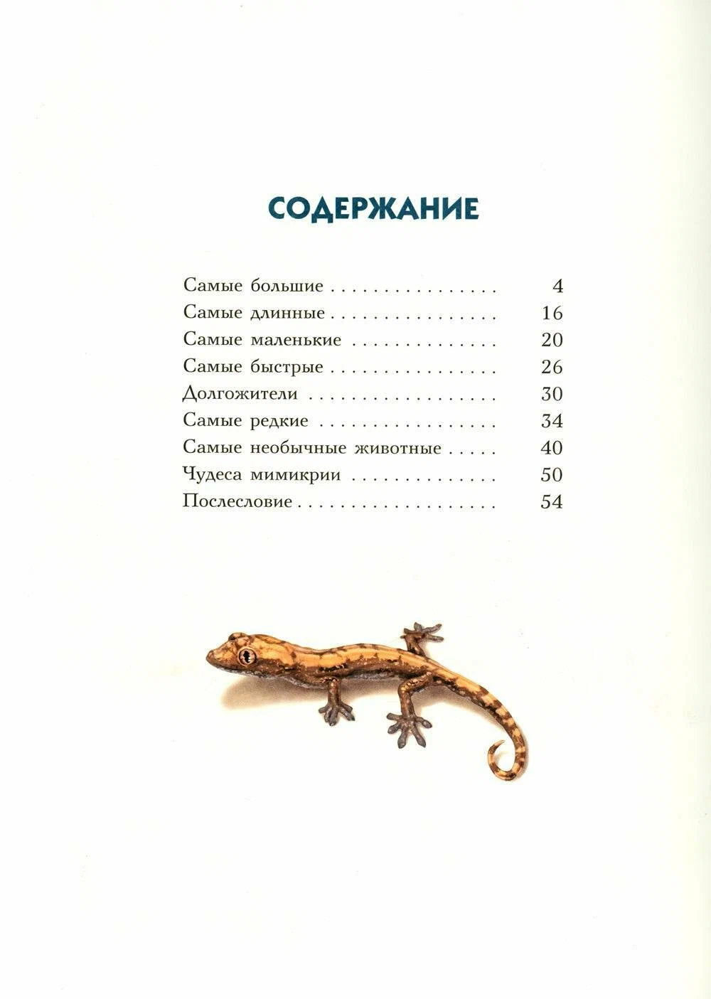 Самые-самые. Животные-рекордсмены