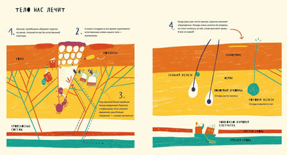 Тайная жизнь болячек
