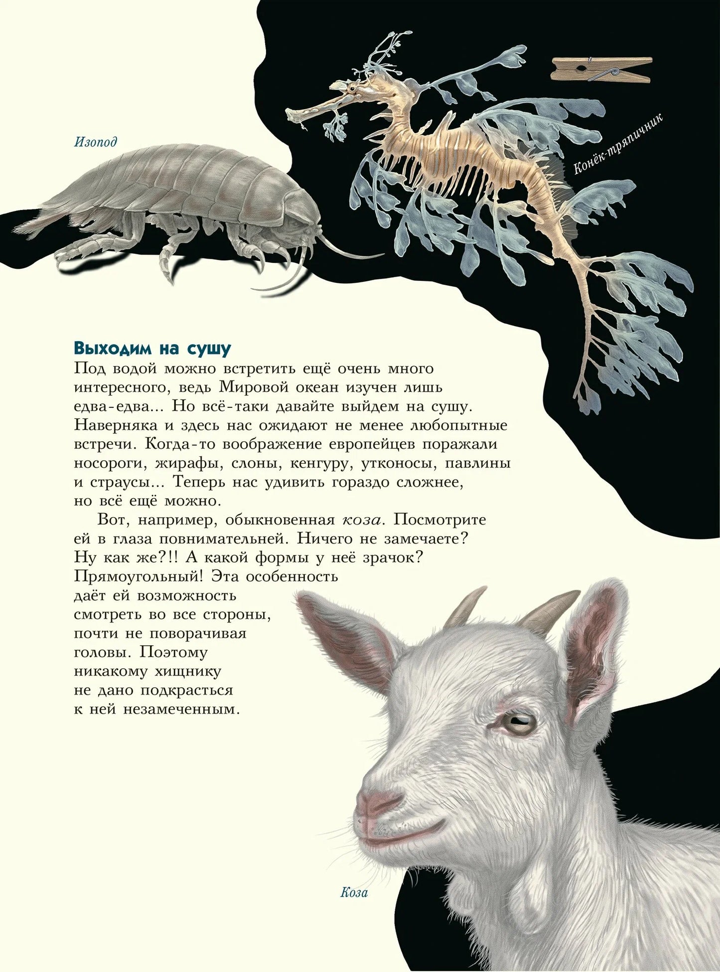 Самые-самые. Животные-рекордсмены