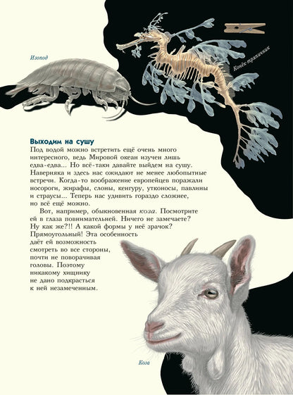 Самые-самые. Животные-рекордсмены