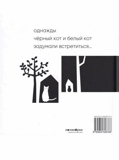 Чёрный кот, белый кот
