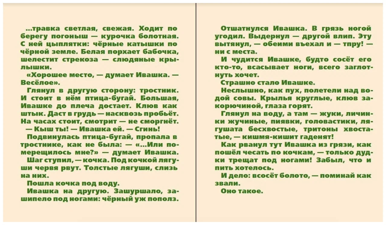 Болото (папка: книга + карточки с эскизами)