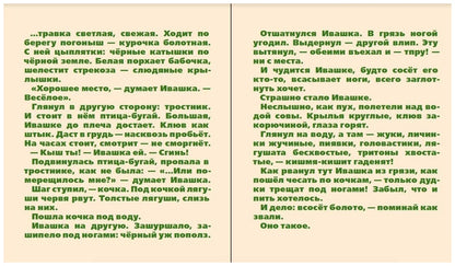 Болото (папка: книга + карточки с эскизами)