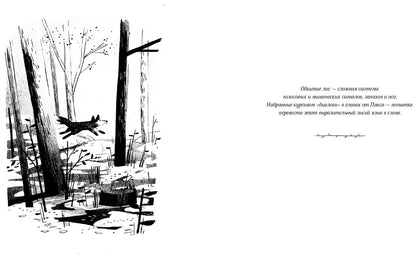 Пакс + Пакс. Дорога домой (комплект книг)