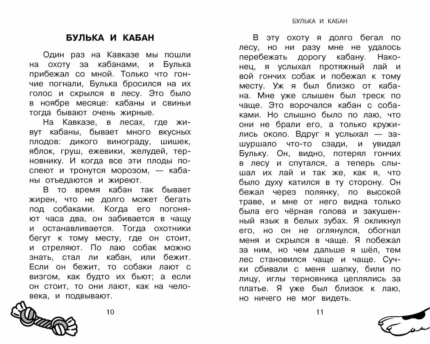 Большая собачья книга