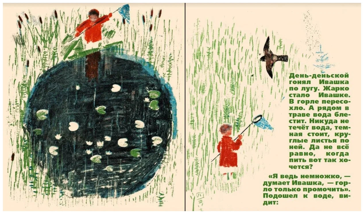 Болото (папка: книга + карточки с эскизами)