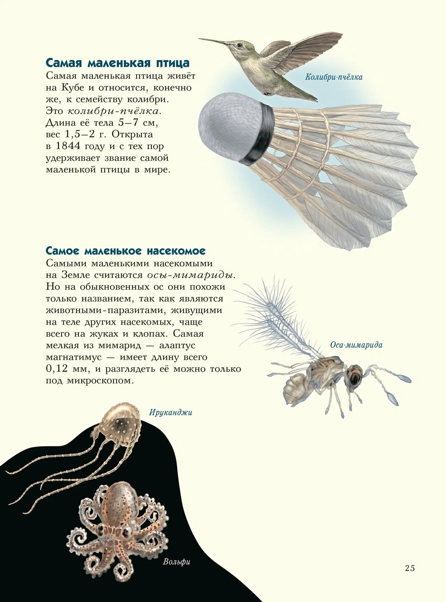 Самые-самые. Животные-рекордсмены