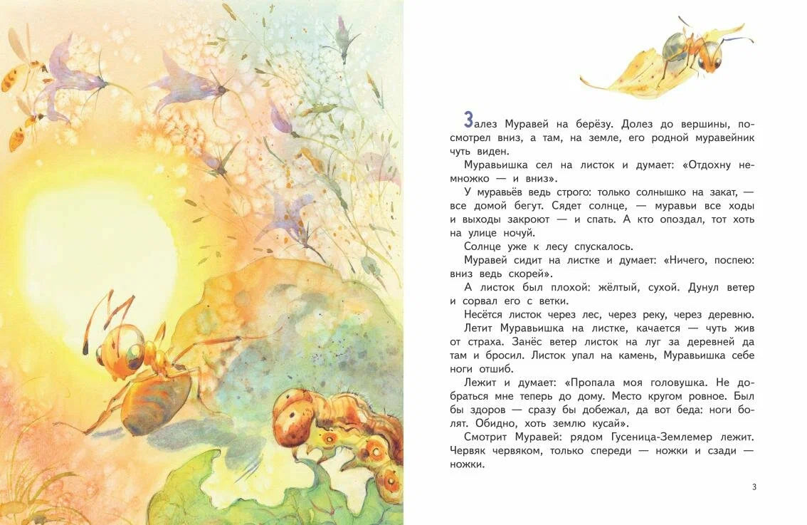 Как муравьишка домой спешил