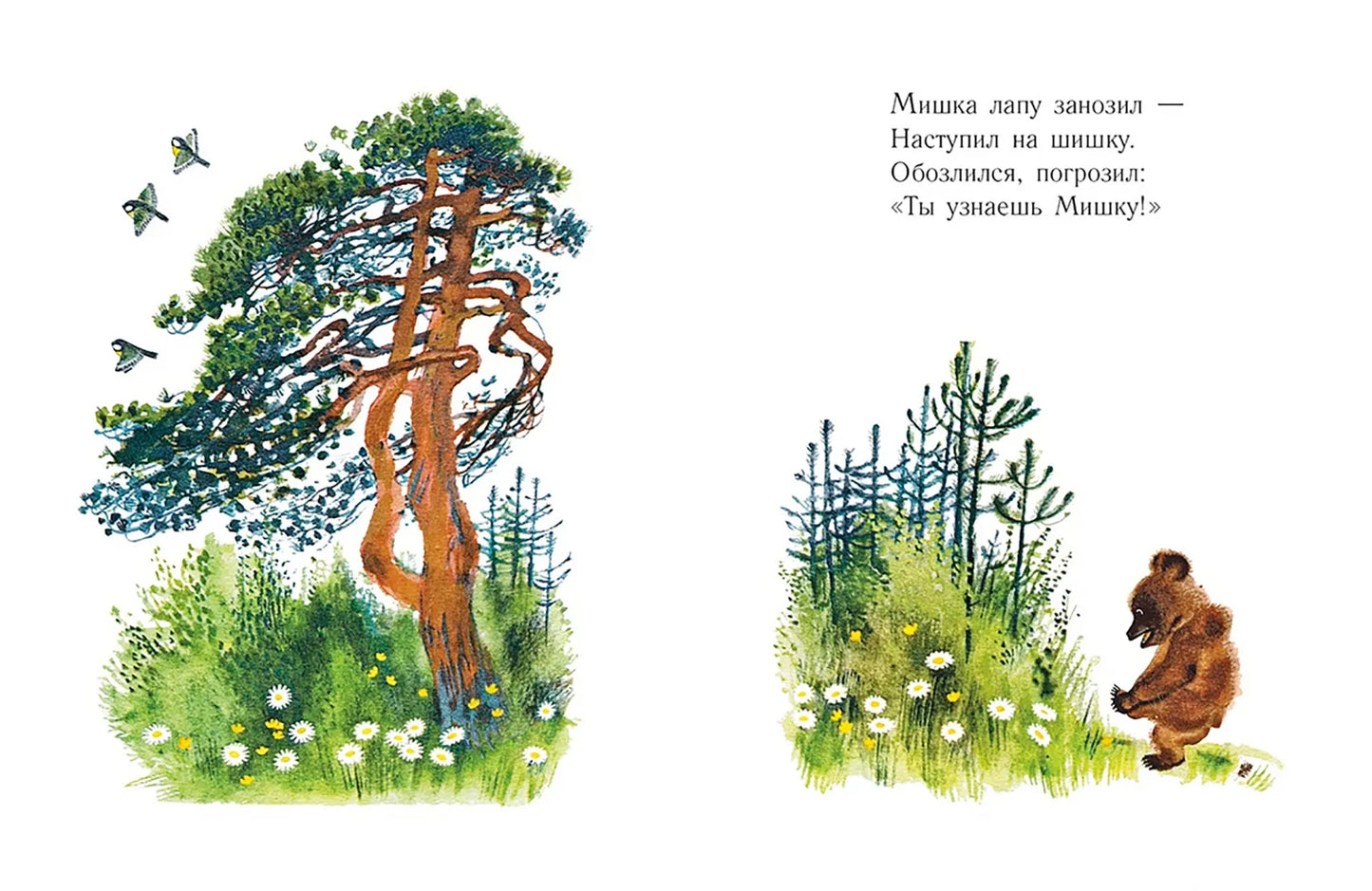 Мишка. Странички-невелички