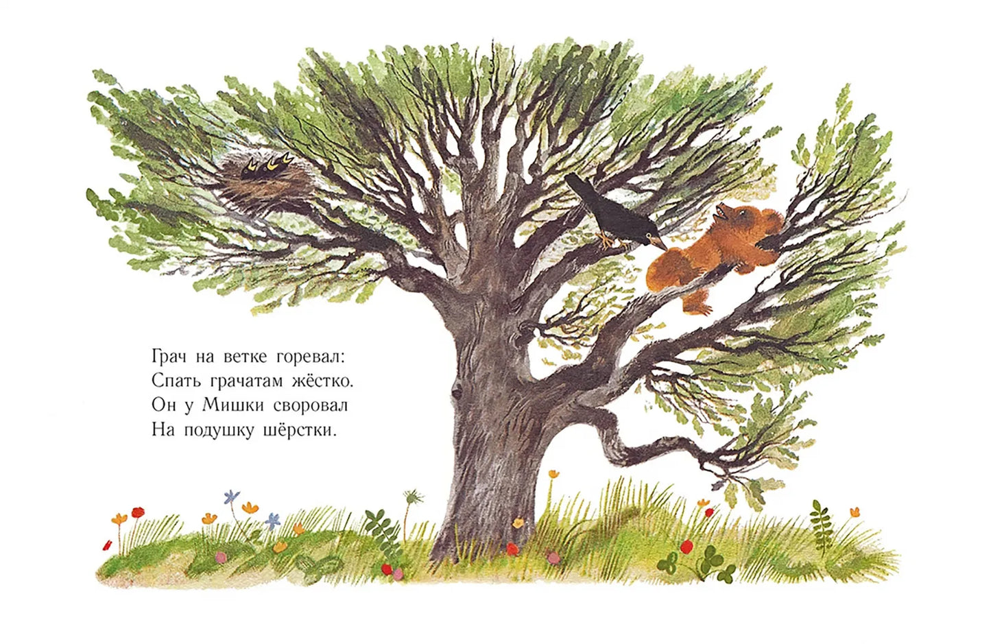 Мишка. Странички-невелички